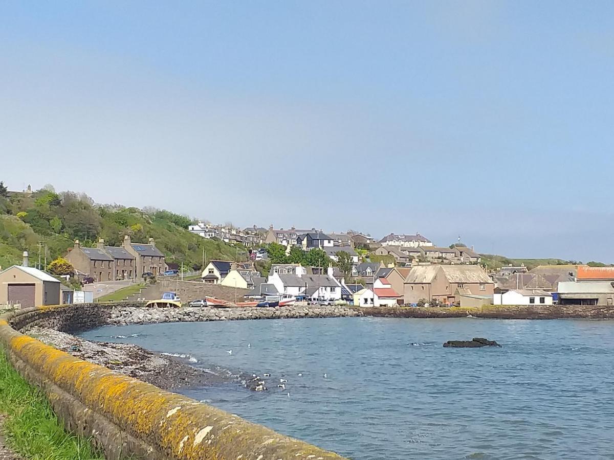 Coastal Cottage Inverbervie Екстер'єр фото